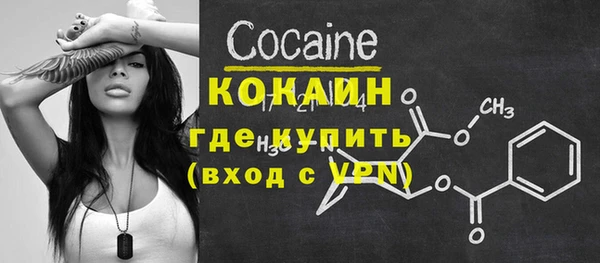 соль ск Арсеньев