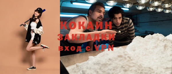 соль ск Арсеньев