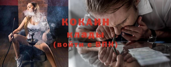 ПСИЛОЦИБИНОВЫЕ ГРИБЫ Аркадак