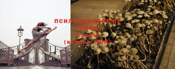 ПСИЛОЦИБИНОВЫЕ ГРИБЫ Аркадак