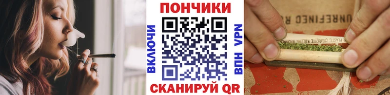 мега онион  наркота  Новоалтайск  Конопля конопля 